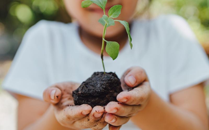 Child holding seedling with both hands. 