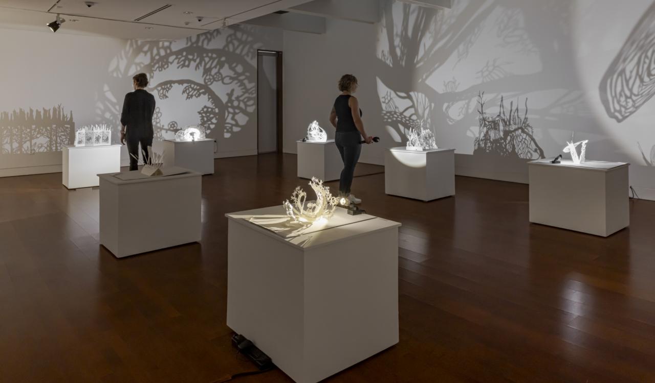 Mere Phantoms: Undergrowth, installation view at Cambridge Art Galleries, Preston. 2024. Photo by Toni Hafkenscheid.