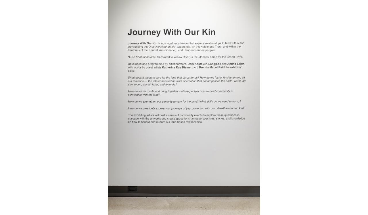 Journey With Our Kin, Installation View, Cambridge Art Galleries - Queen's Square, 2022. Photo: Toni Hafkenscheid⁠