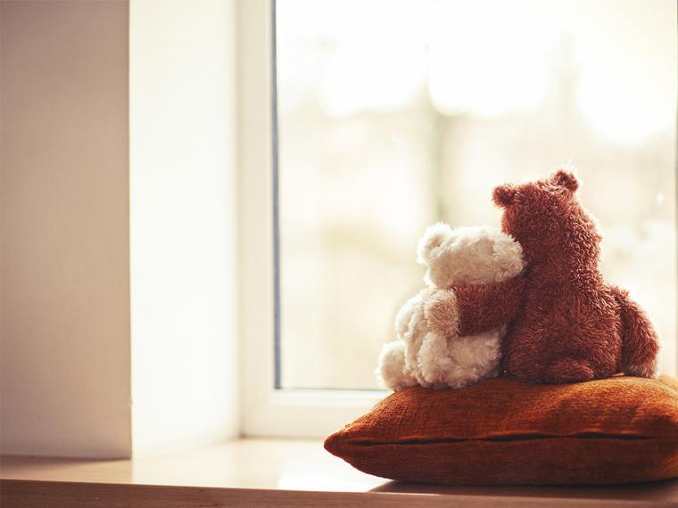a photograph of a white teddy bear and a brown teddy bear sitting on a pillow looking out the window. The brown teddy bear has their arm around the white teddy bear in a caring gesture.