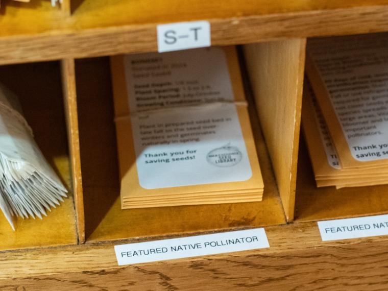 Close up of seed envelopes in the Seed Library cabinet at Preston.