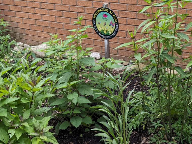 The pollinator garden at Idea Exchange, Preston with a Bee City sign and other markers.