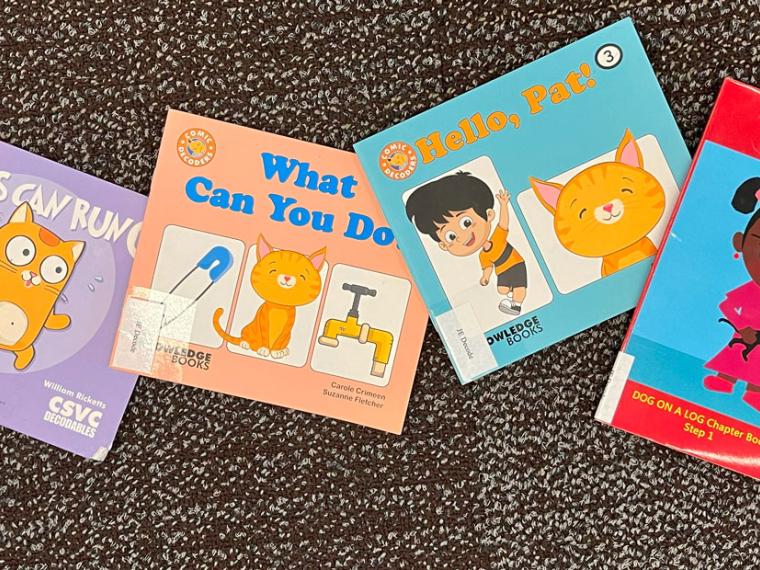 A selection of decodable books on a carpet.