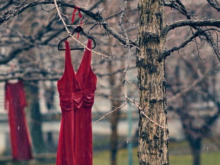 Red dress hanging from tree, a symbol of Red Dress Day
