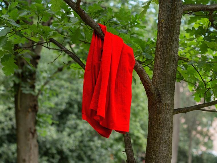 A red dress hanging from the branch of a tree, symbolic of Red Dress Day