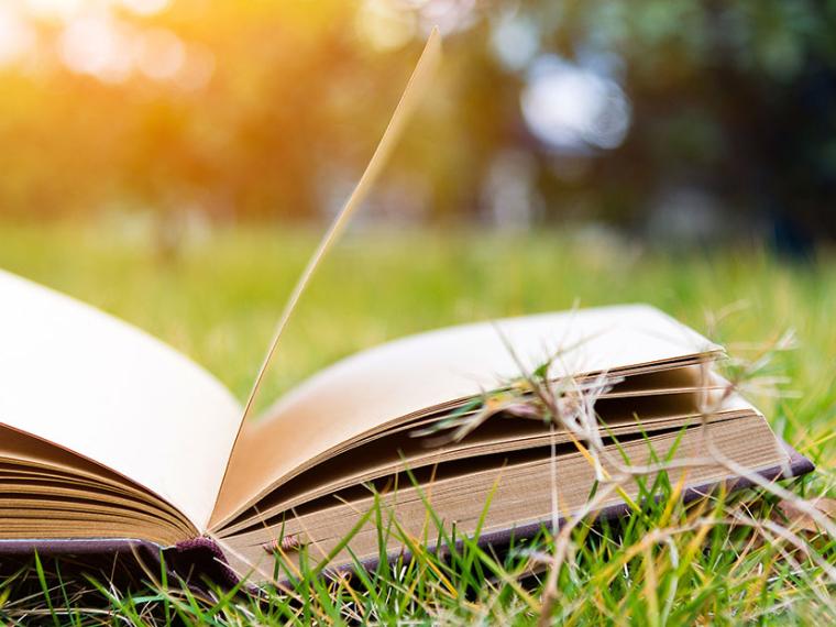 Open book in a grassy field with bright sunlight behind.