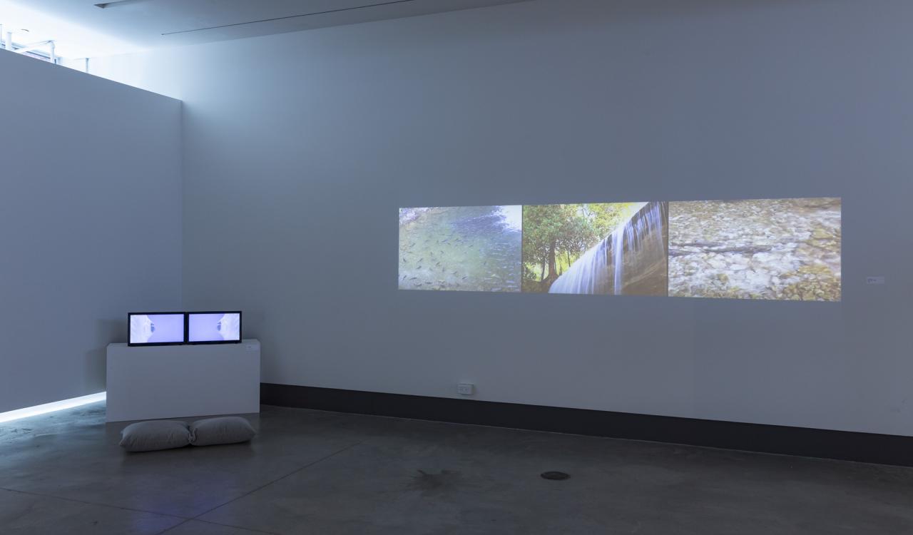 Common Waters. Installation View 2019. Photo by Scott Lee