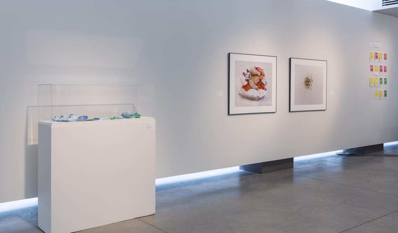 Common Waters. Installation View 2019. Photo by Scott Lee