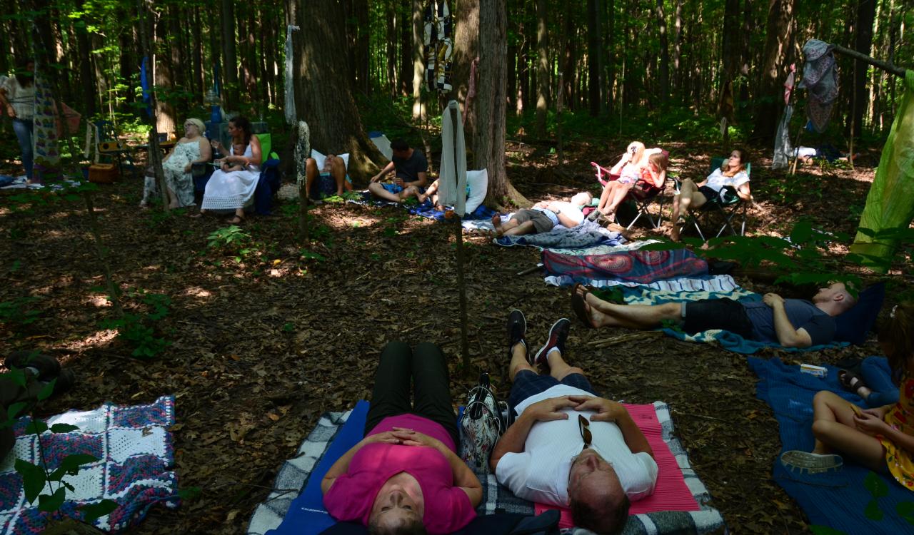 Mollie Coles Tonn & Shannon Phair, Forest Nap, 2018. Photo Lisa Hirmer.