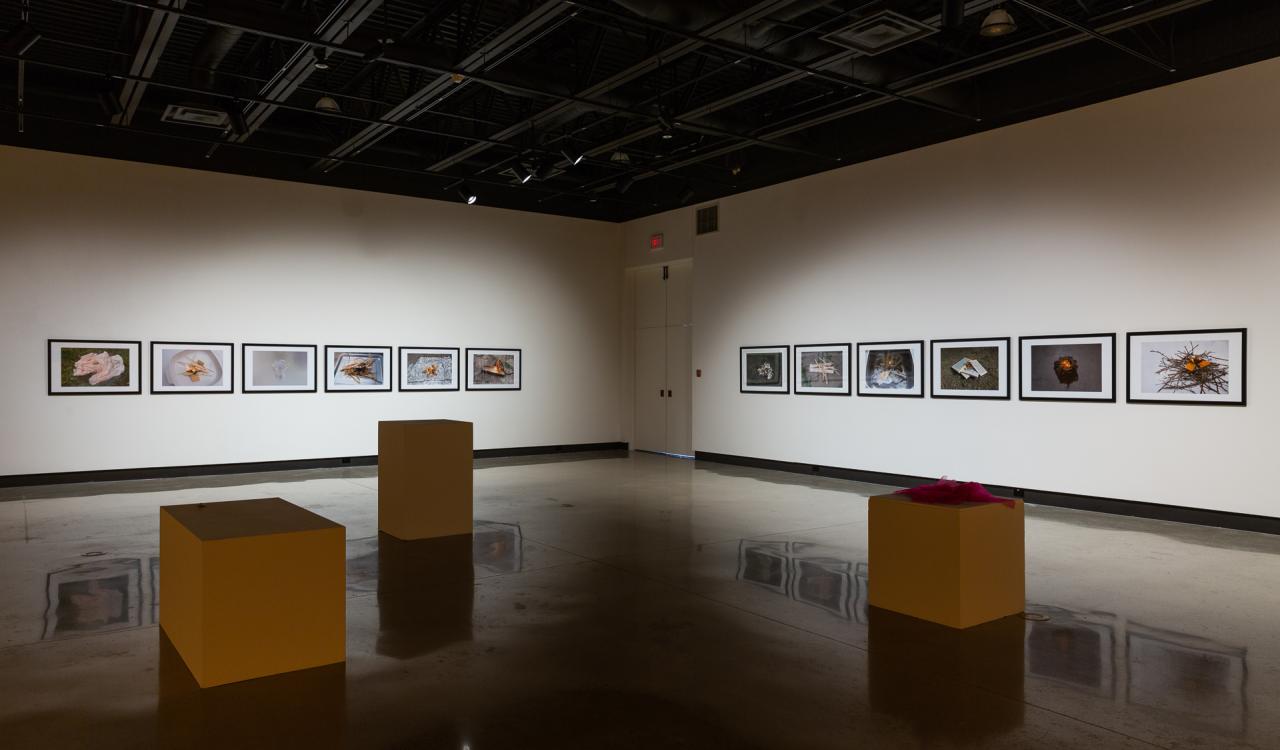 Of Containers and Firestarts, installation view, 2018. Photo Scott Lee