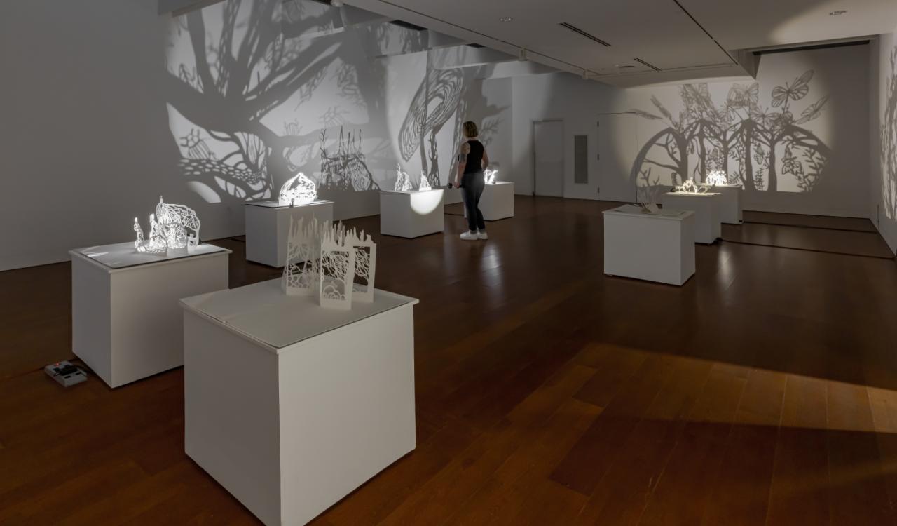 Mere Phantoms: Undergrowth, installation view at Cambridge Art Galleries, Preston. 2024. Photo by Toni Hafkenscheid.