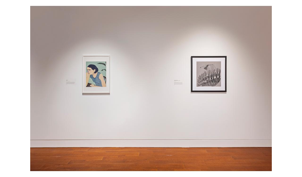 Belonging - Juried Community Exhibition, installation view at Cambridge Art Galleries, Preston. Photo by Toni Hafkenscheid, 2024.