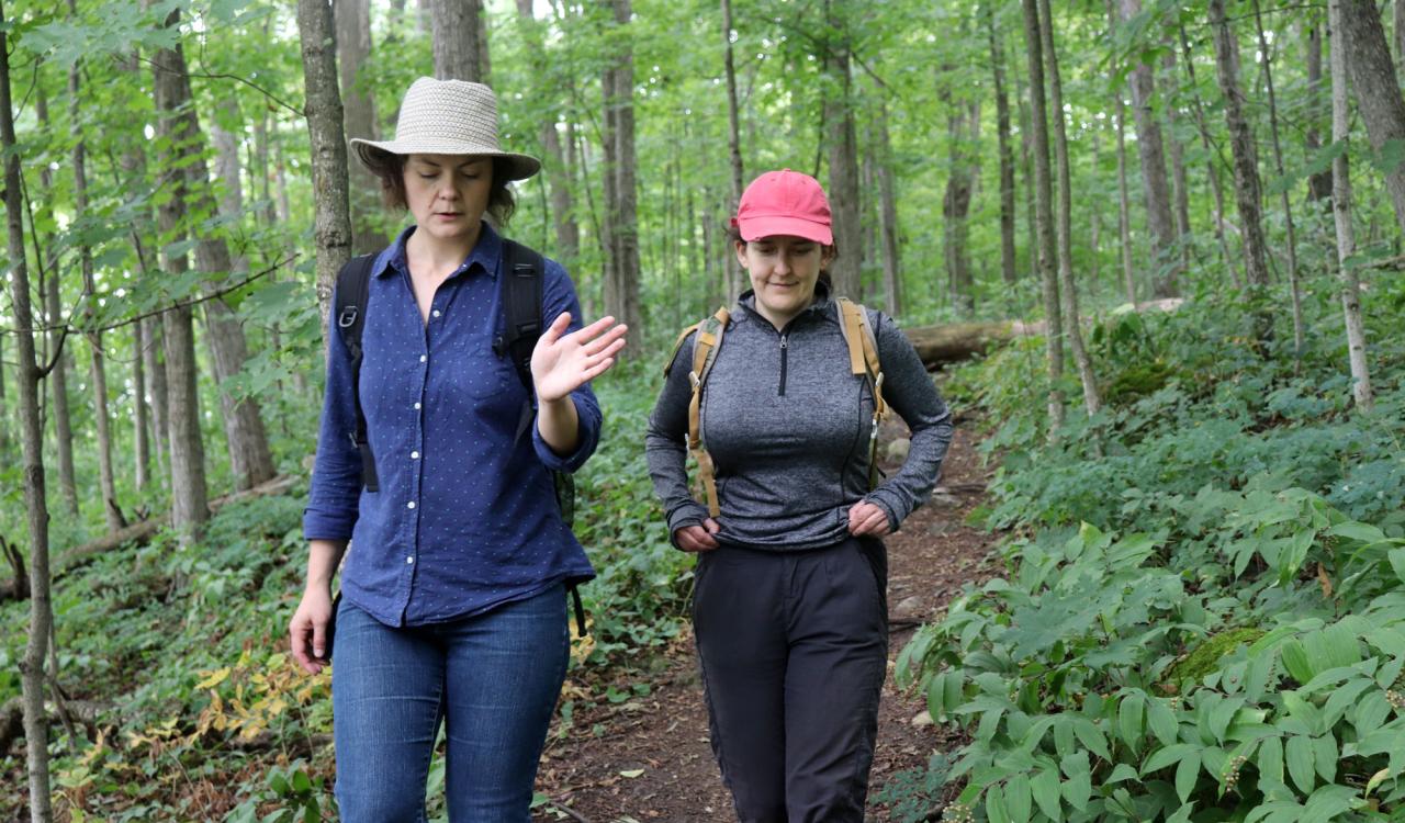 Barbara Hobot, Snake Walk, 2018. Photo Cherie Fawcett. 