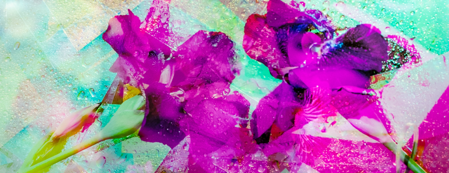 Natalie Hunter, Crystal Garden, Mirrored Iris 02 (detail), archival pigment prints on transparent film from 120mm negatives, turned aluminum, light, 2024. Image courtesy of the artist. 