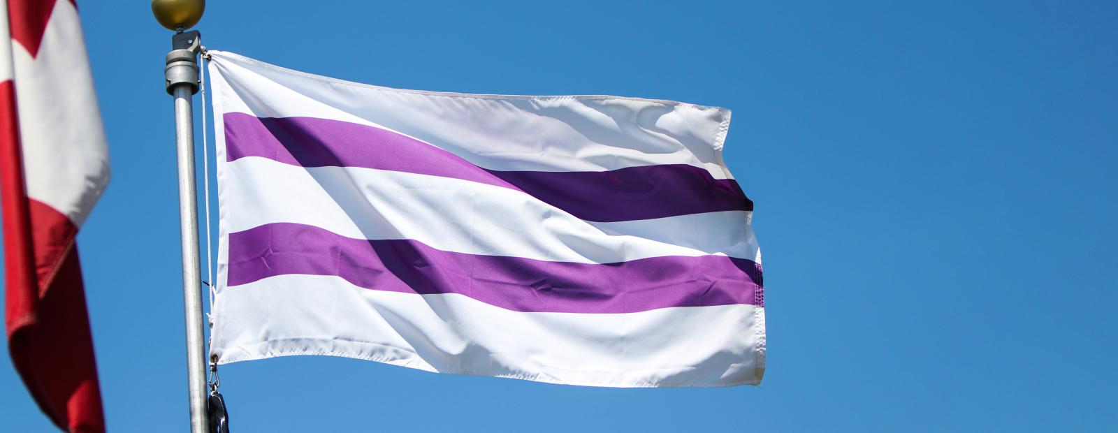 The Two Row Wampum flag flying over a blue sky.