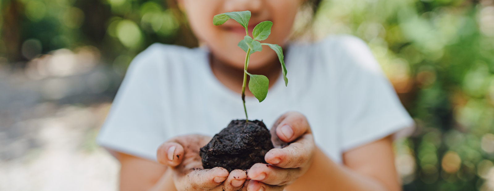 A child holding a seedling with both hands.