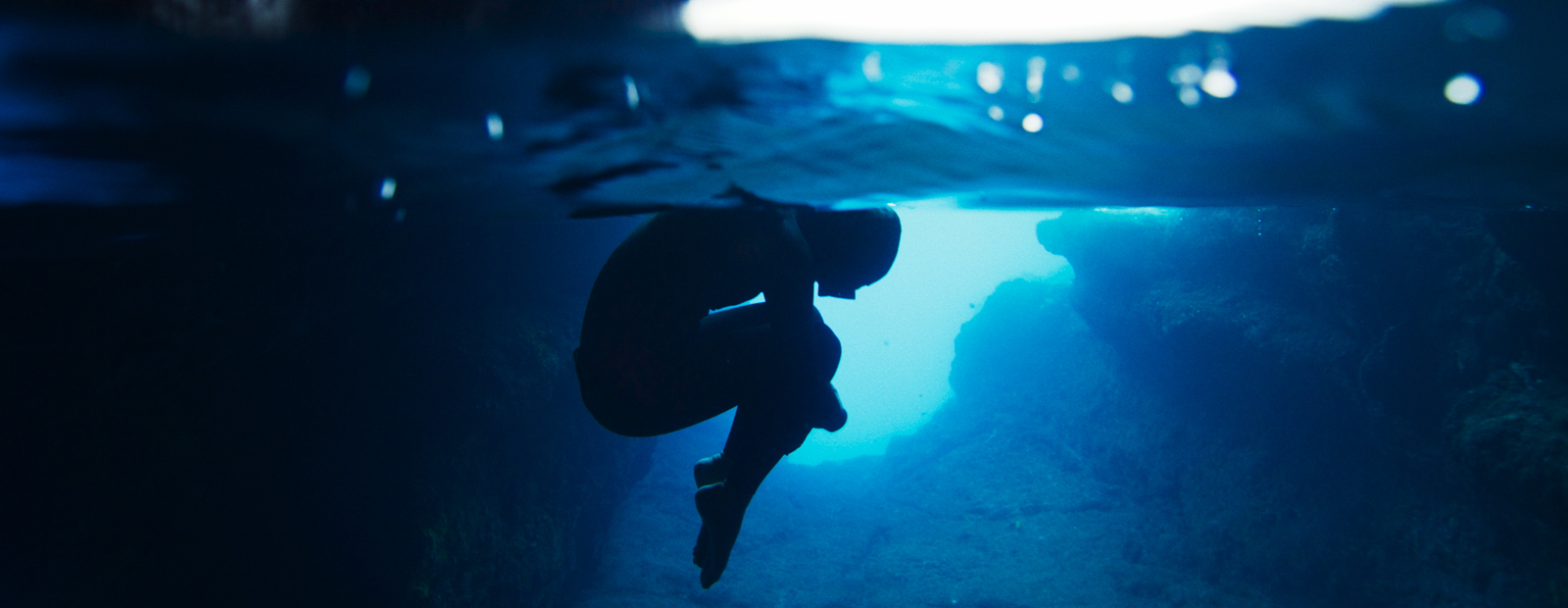 An adult in the fetal position, floating underwater.