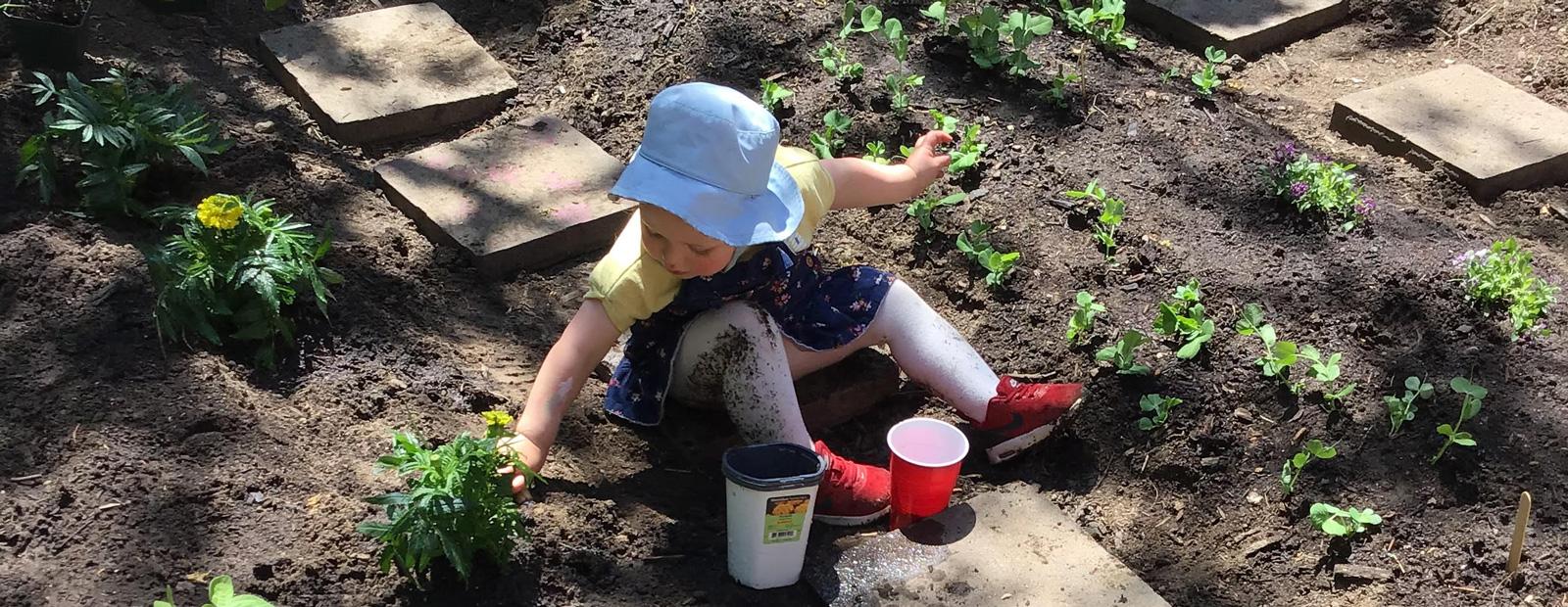 A toddler sitting in a garden planting flowers next to them.