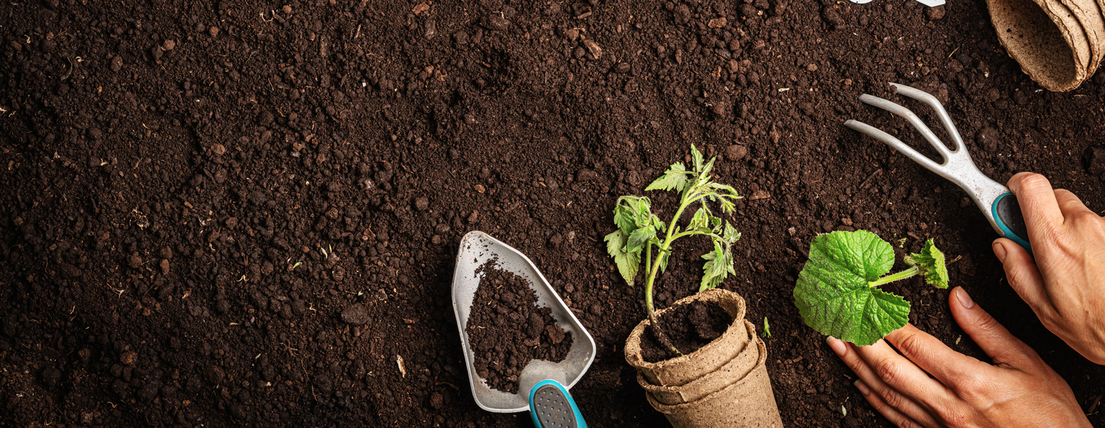A person gardening with hand tools.