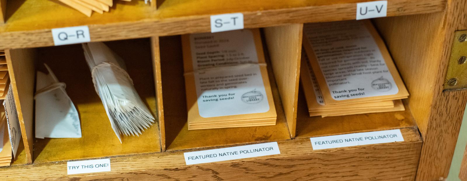 Close up of seed envelopes in the Seed Library cabinet at Preston.