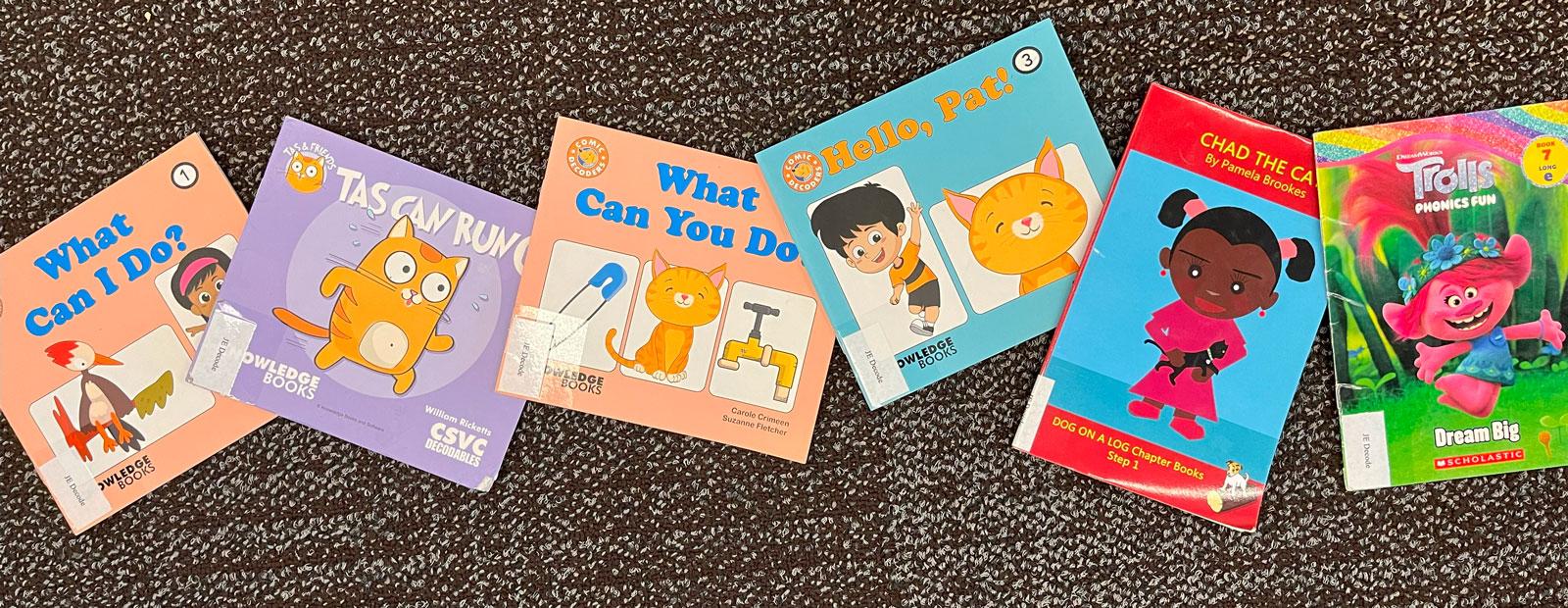 A selection of decodable books on a carpet.