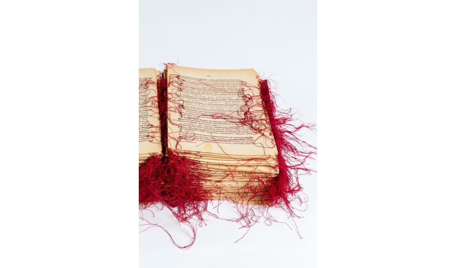 Angela Silver, Red Thread Book (detail), 2004. Photo: Scott Lee